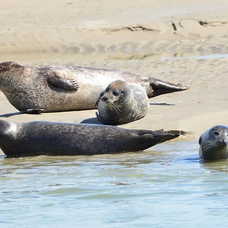 Les Nids De La Baie Bed & Breakfast 3*