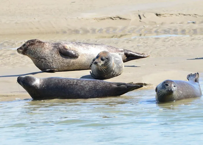 Les Nids De La Baie Couette-café 3*
